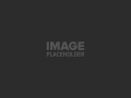 pojo-placeholder-4